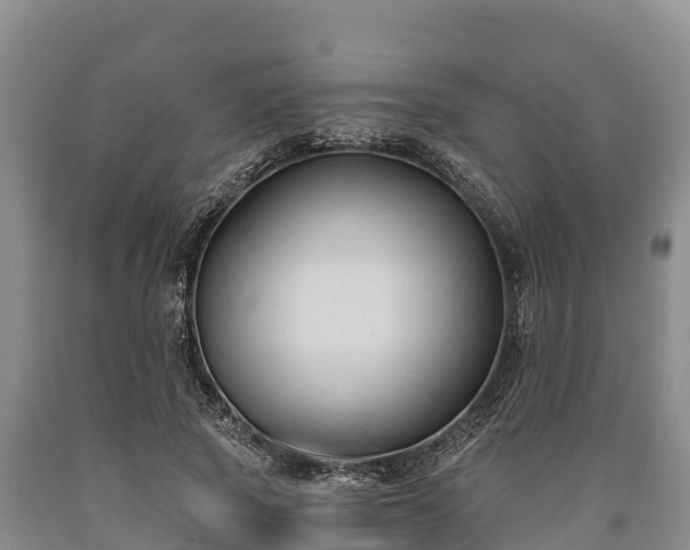 X0000090710737200707271131