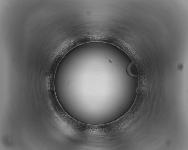 X0000090710738200707271131