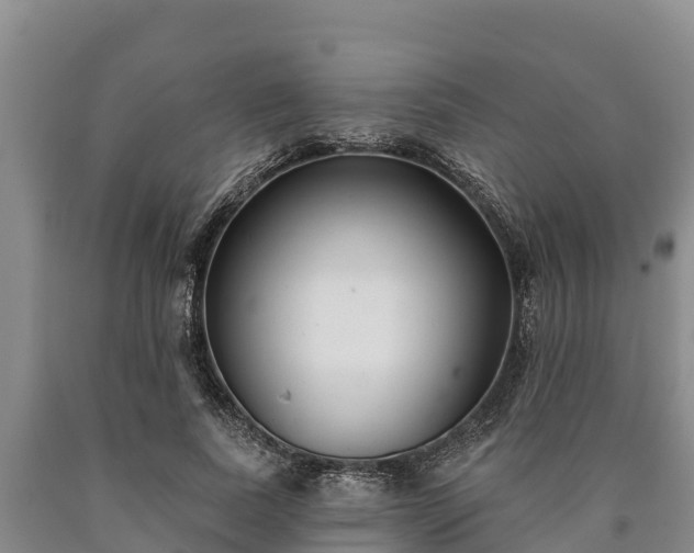 X0000090710739200707271131