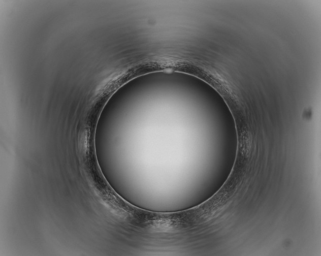 X0000090710740200707271131