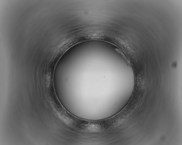 X0000090710741200707271131