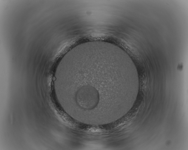 X0000090710742200707271131