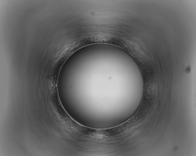 X0000090710743200707271131