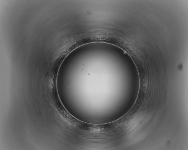 X0000090710746200707271131