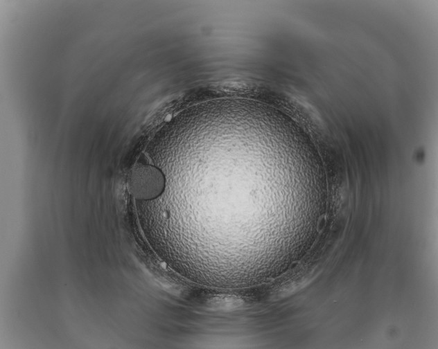 X0000090710749200707271131