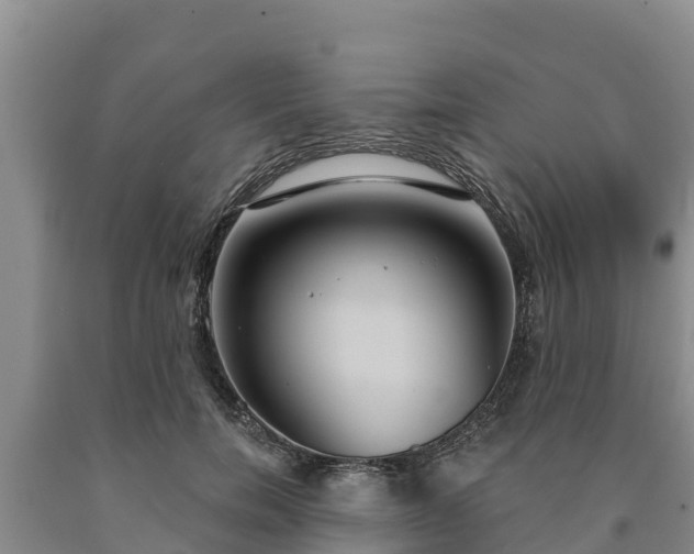 X0000090710750200707271131