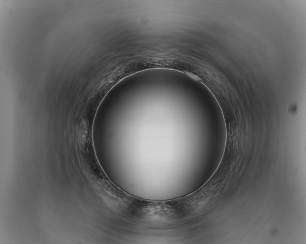 X0000090710752200707271131