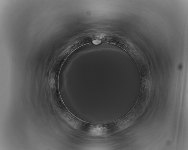 X0000090710754200707271131