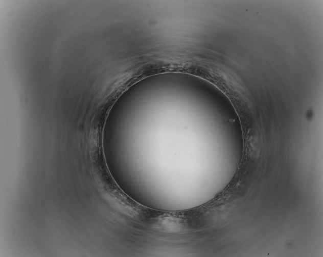 X0000090710756200707271131