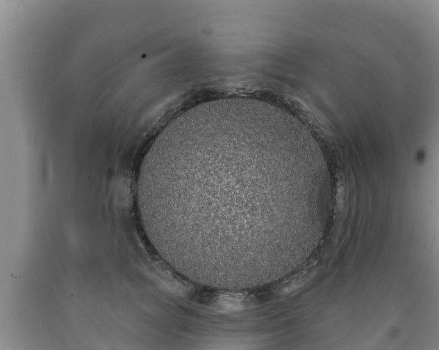 X0000090710757200707271131