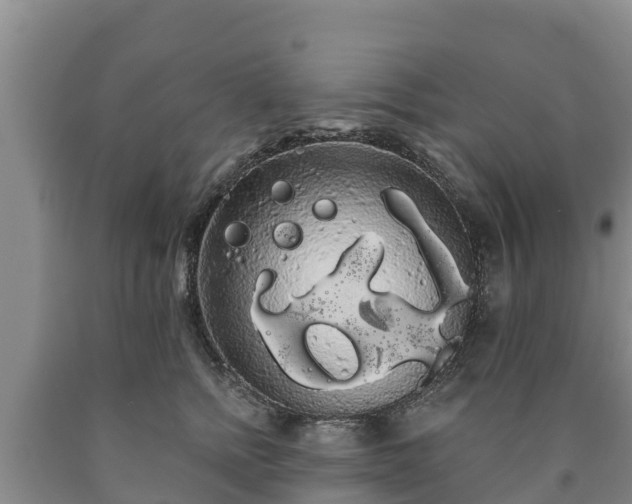 X0000090710758200707271131