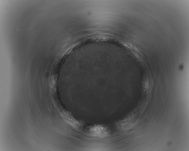 X0000090710759200707271131