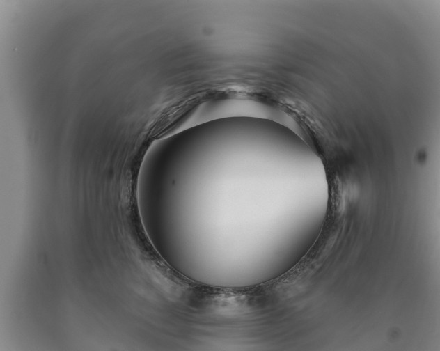 X0000090710760200707271131