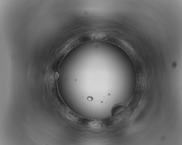 X0000090710761200707271131