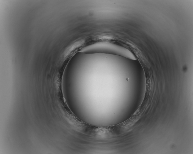 X0000090710762200707271131