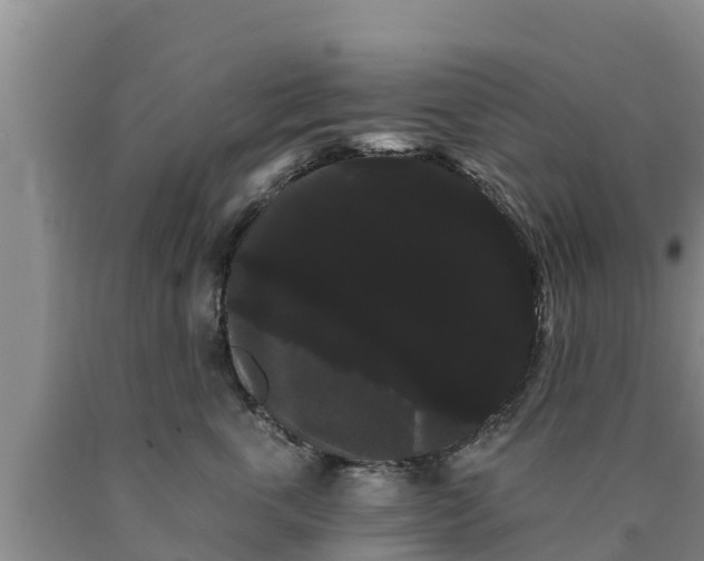 X0000090710763200707271131