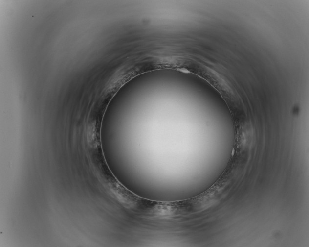 X0000090710764200707271131