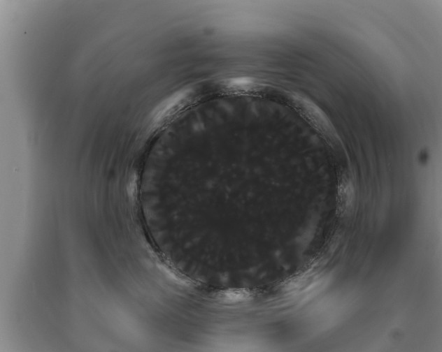 X0000090710765200707271131