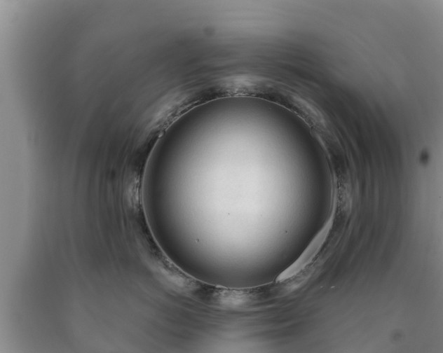 X0000090710766200707271131