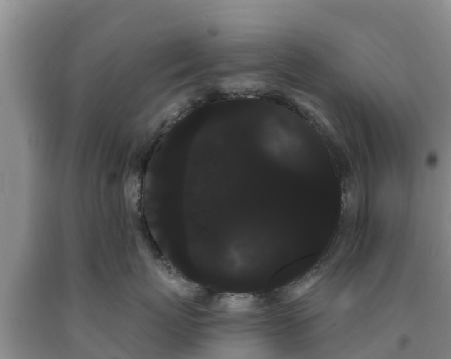 X0000090710767200707271131