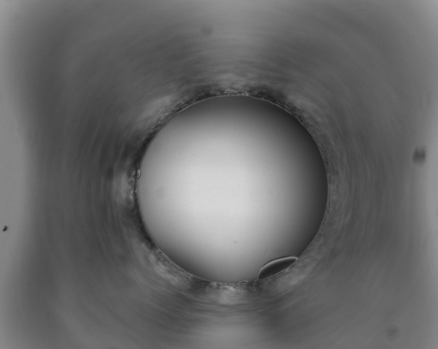 X0000090710768200707271131