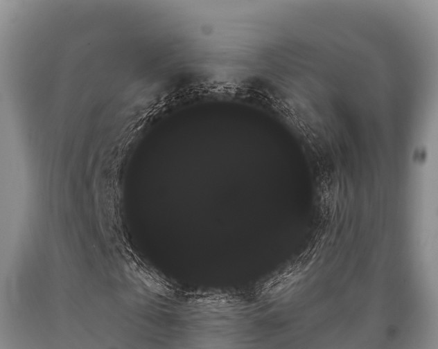 X0000090710769200707271130