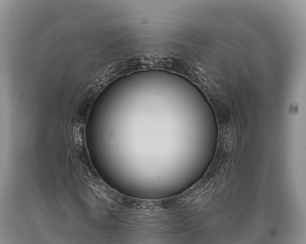 X0000090710770200707271130