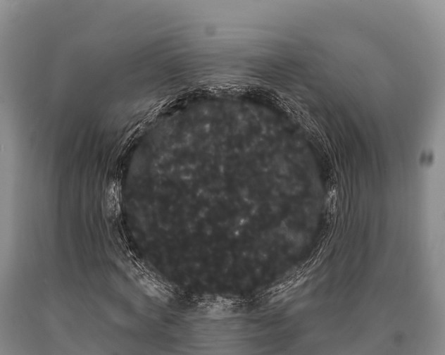 X0000090710772200707271130