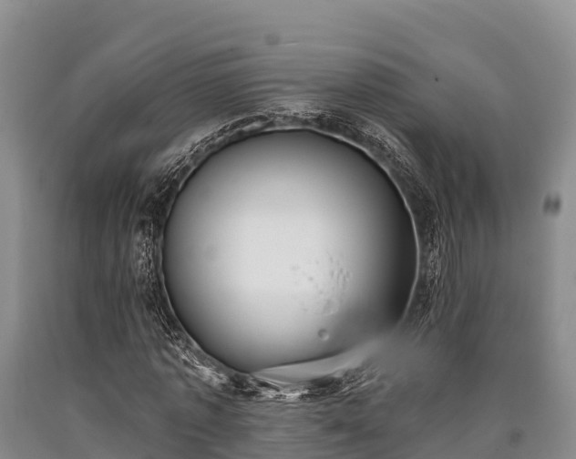 X0000090710773200707271130