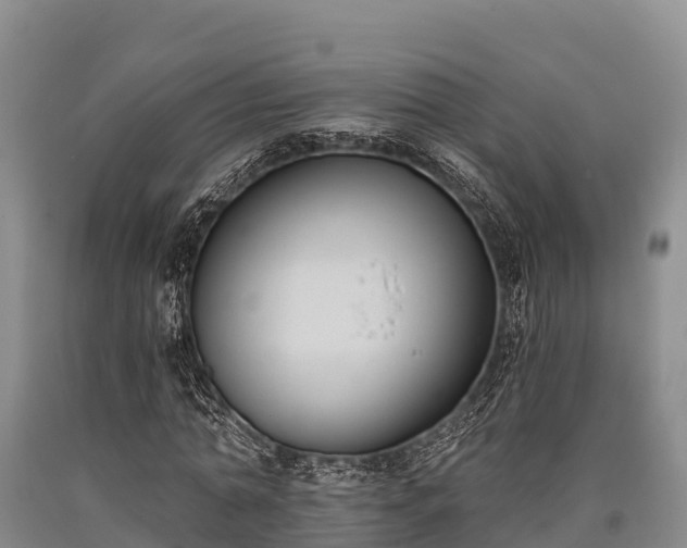 X0000090710774200707271130