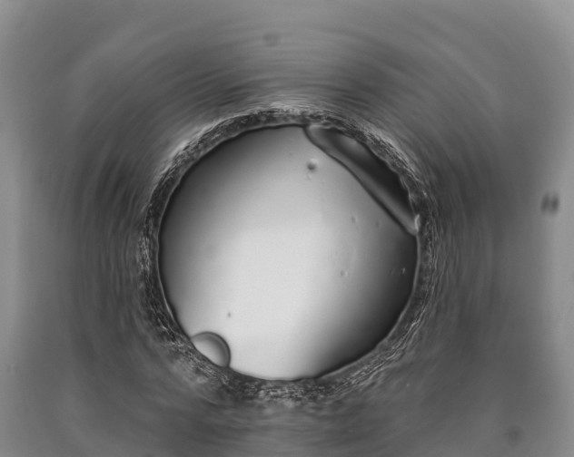 X0000090710776200707271130