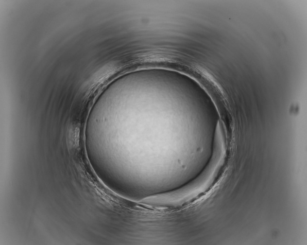 X0000090710777200707271130