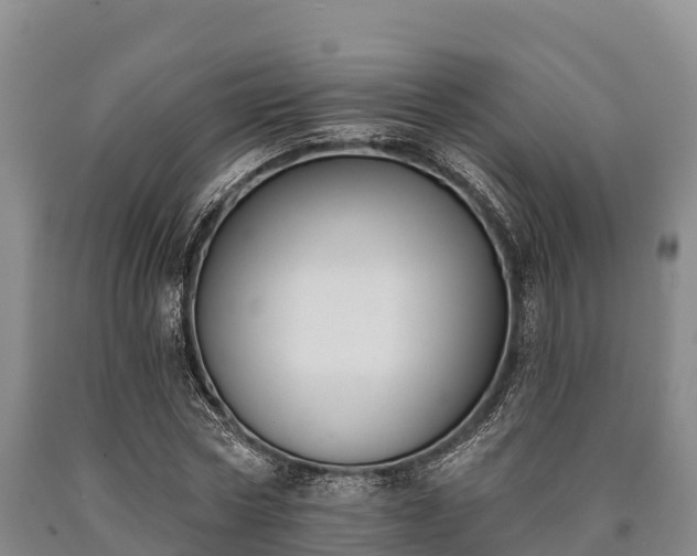 X0000090710778200707271130