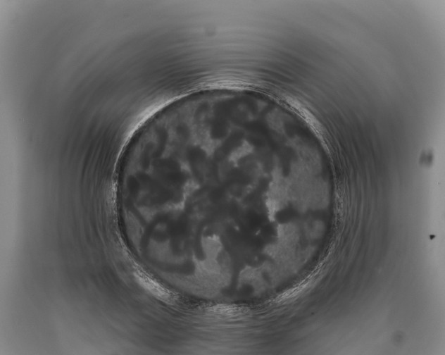 X0000090710779200707271130