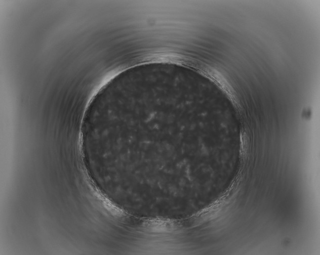 X0000090710780200707271130