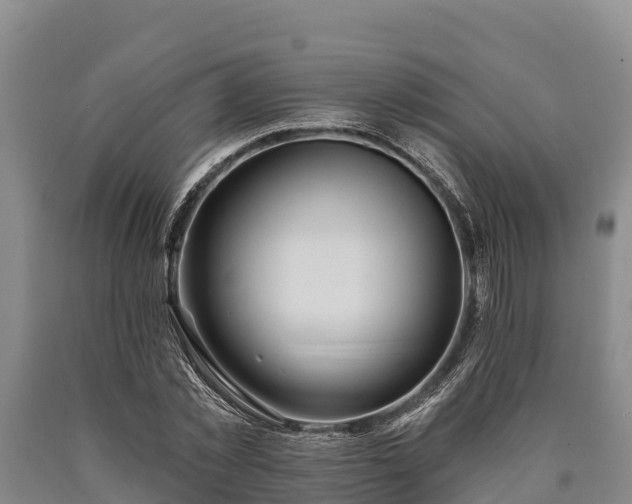 X0000090710781200707271130