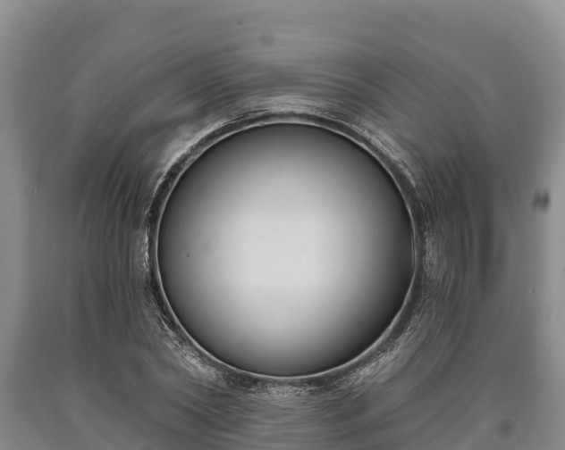 X0000090710782200707271130