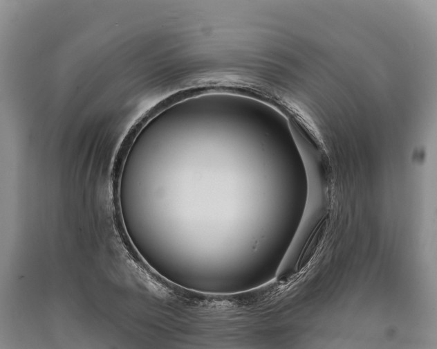 X0000090710784200707271130