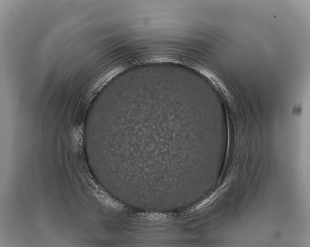 X0000090710785200707271130