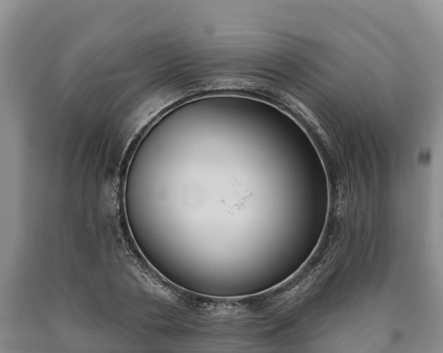 X0000090710786200707271130