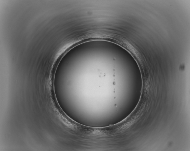 X0000090710787200707271130