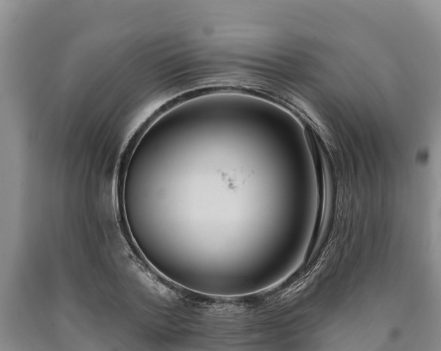 X0000090710788200707271130