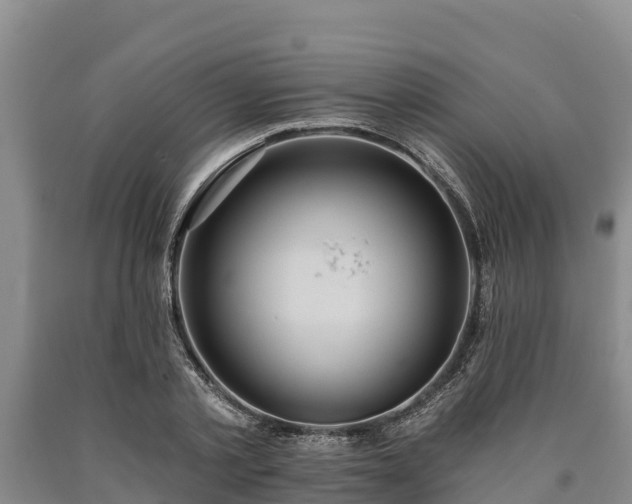 X0000090710789200707271130