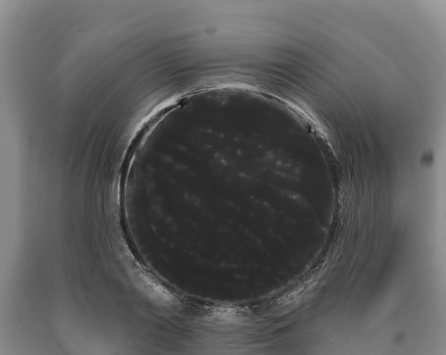 X0000090710790200707271130