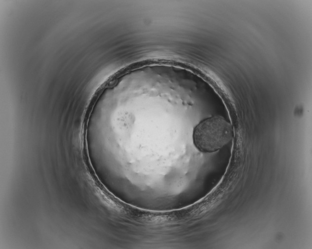 X0000090710791200707271130