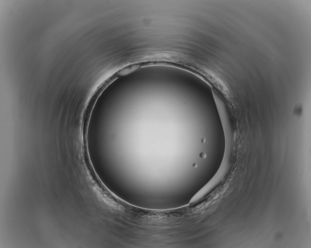 X0000090710792200707271130