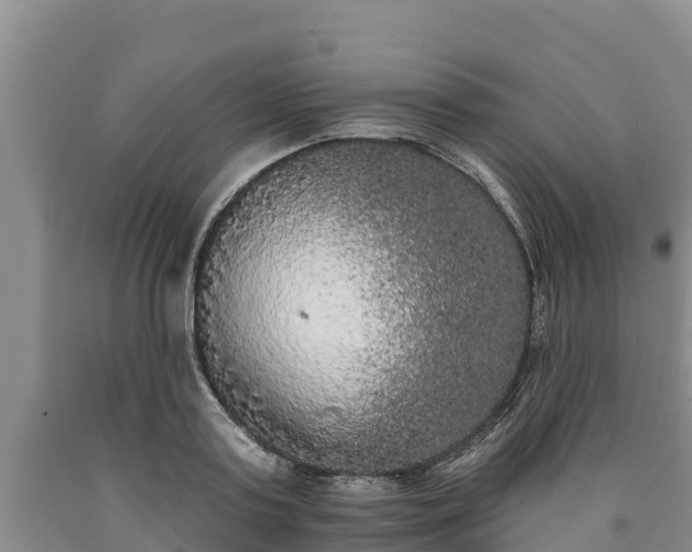 X0000090710795200707271130