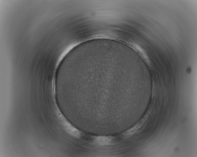 X0000090710796200707271130