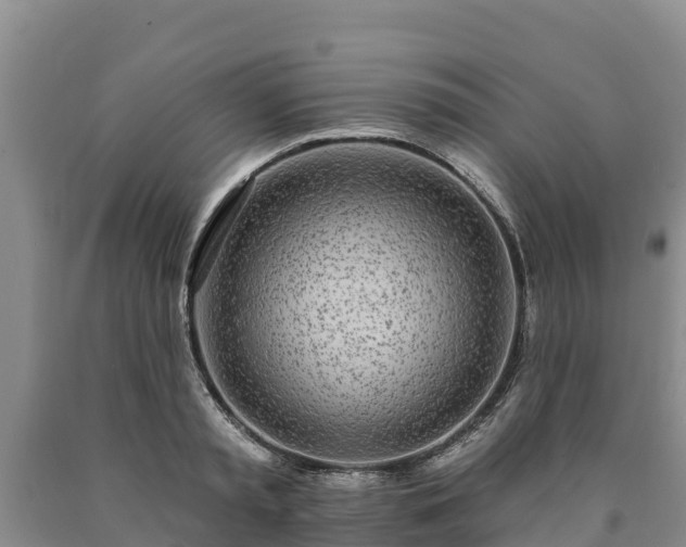 X0000090710797200707271130