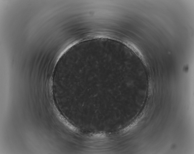 X0000090710798200707271130